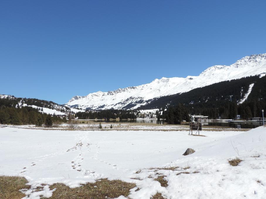 Las Bargias 8 Lenzerheide Zewnętrze zdjęcie